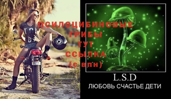тгк Покров