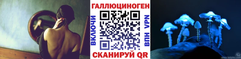 Галлюциногенные грибы Psilocybe  shop как зайти  Армавир  кракен как зайти 
